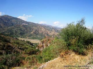 n Michele Forza Agro-31-08-2015 09-15-17